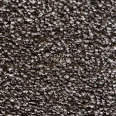 Ковролин AW Masquerade Euphoria 43 фото 1 | FLOORDEALER